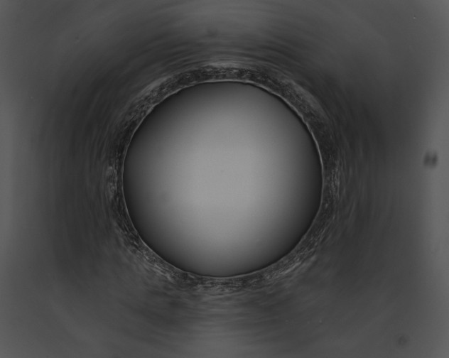 X0000091170821200708301153