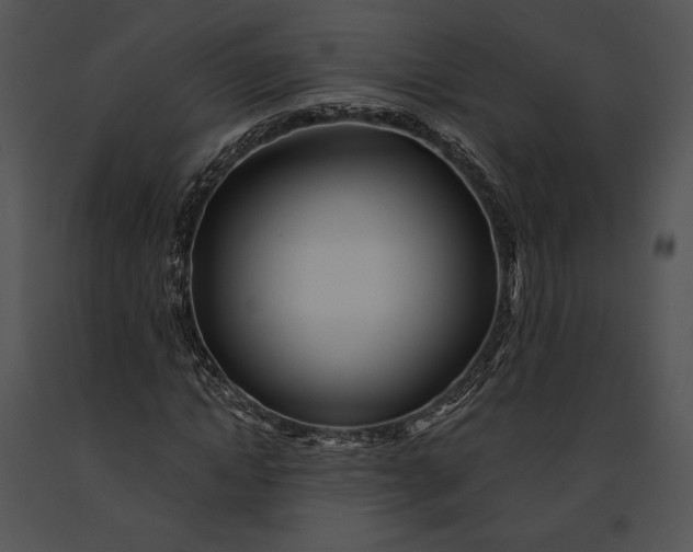 X0000091170822200708301153