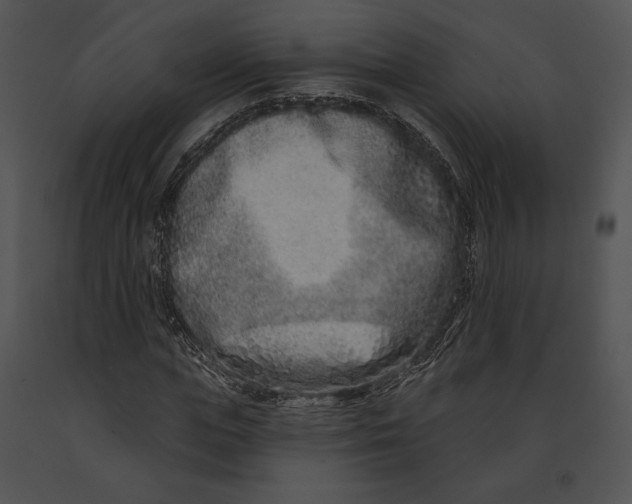 X0000091170823200708301153