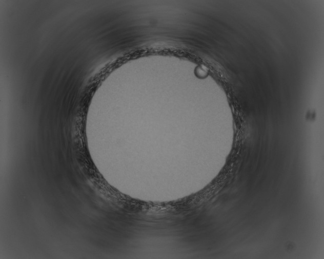 X0000091170824200708301153