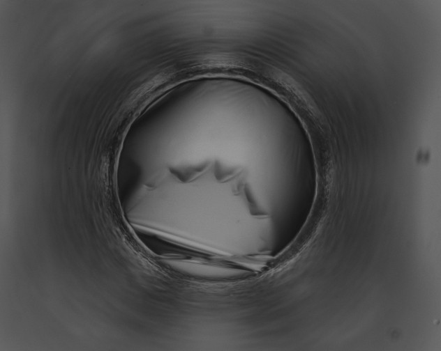 X0000091170825200708301153