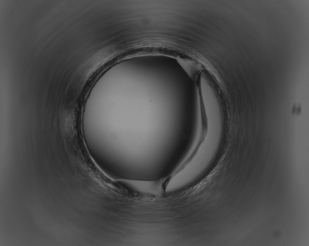 X0000091170826200708301153