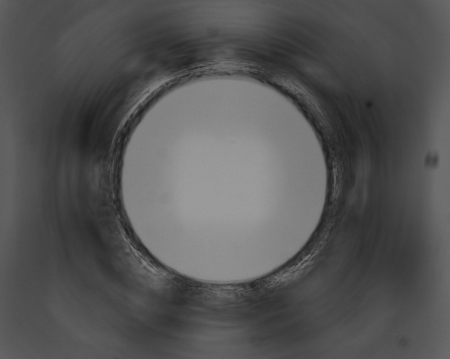 X0000091170828200708301153