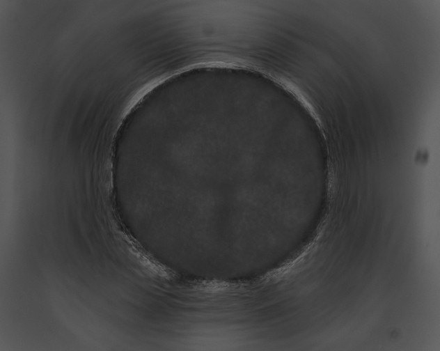 X0000091170829200708301153