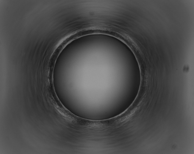 X0000091170830200708301153