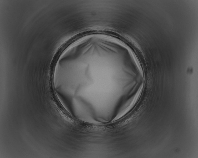 X0000091170831200708301153