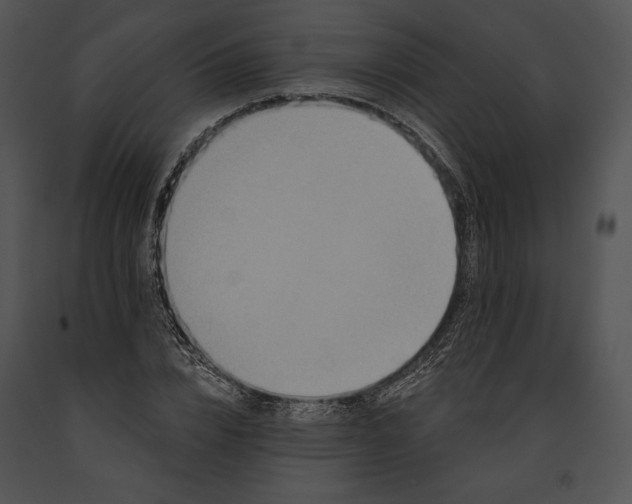 X0000091170832200708301153