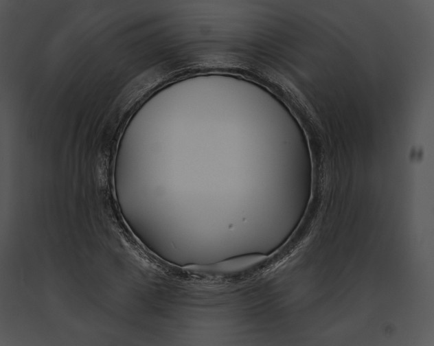 X0000091170833200708301153