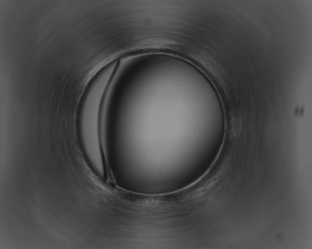 X0000091170834200708301153