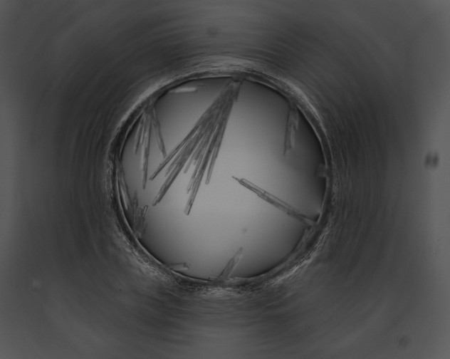 X0000091170835200708301153