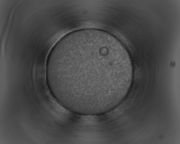 X0000091170836200708301153