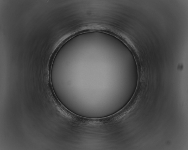 X0000091170837200708301153