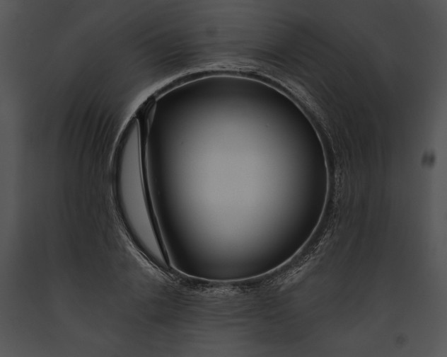 X0000091170838200708301153