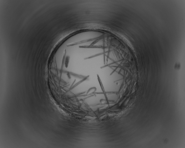 X0000091170839200708301153