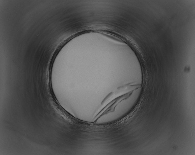 X0000091170840200708301153