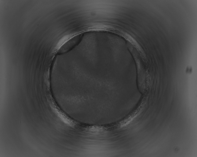 X0000091170842200708301154