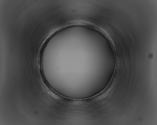 X0000091170843200708301154