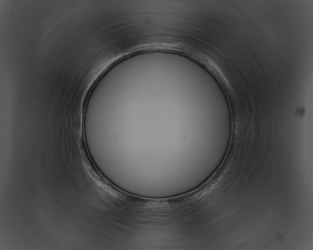 X0000091170844200708301154