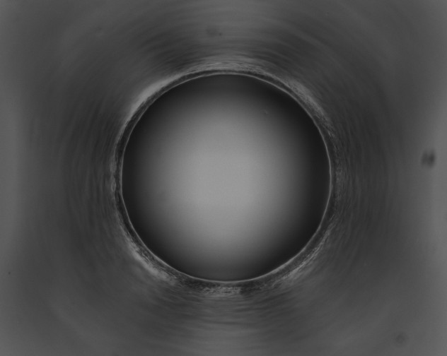 X0000091170846200708301154