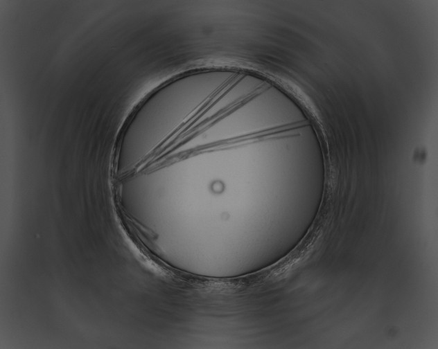 X0000091170847200708301154