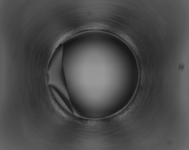 X0000091170850200708301154