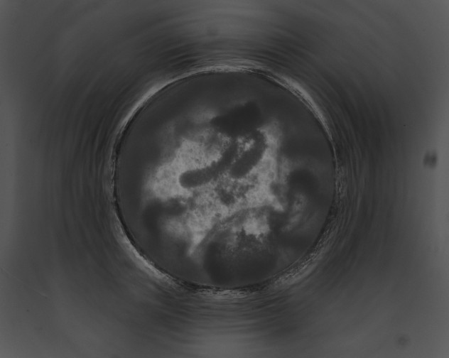 X0000091170851200708301154