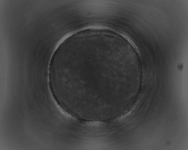 X0000091170853200708301154