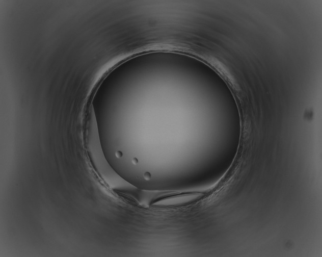 X0000091170854200708301154