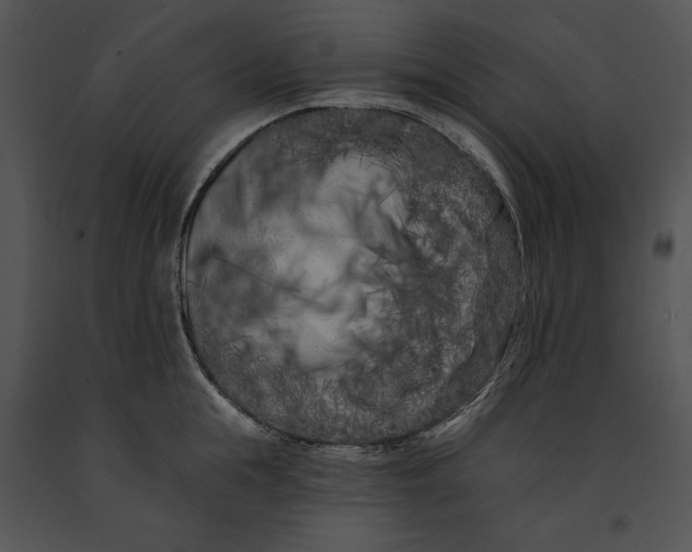 X0000091170855200708301154