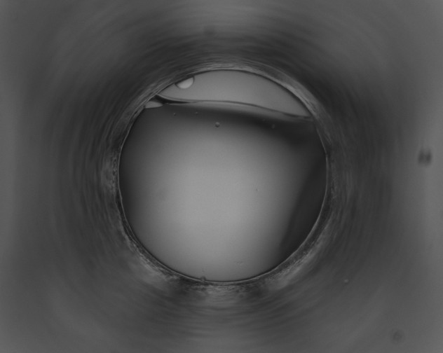 X0000091170857200708301154