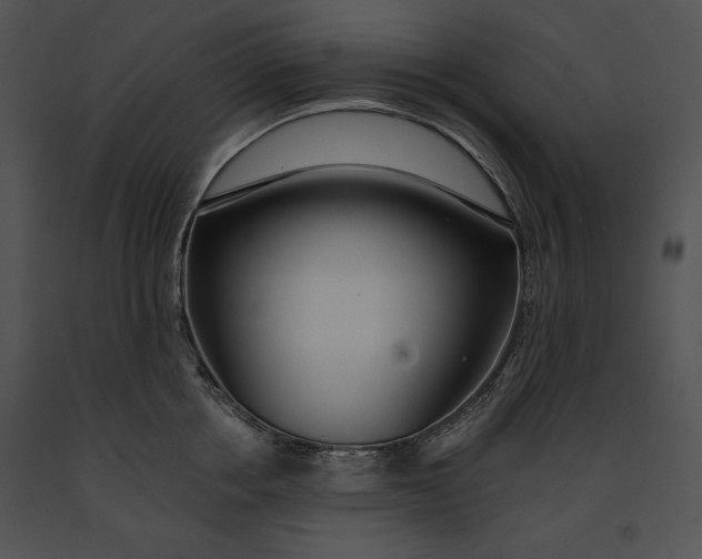 X0000091170858200708301154