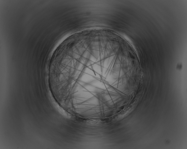 X0000091170859200708301154