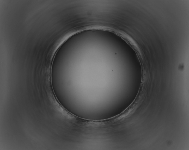 X0000091170860200708301154