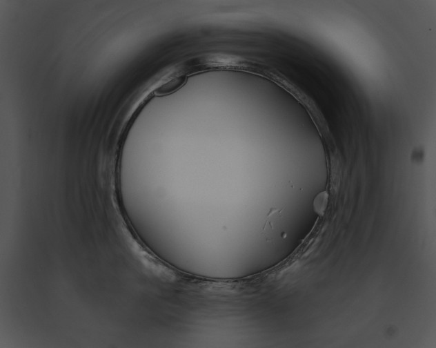 X0000091170861200708301154