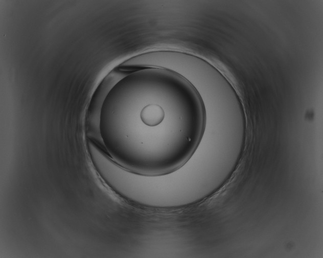 X0000091170862200708301154