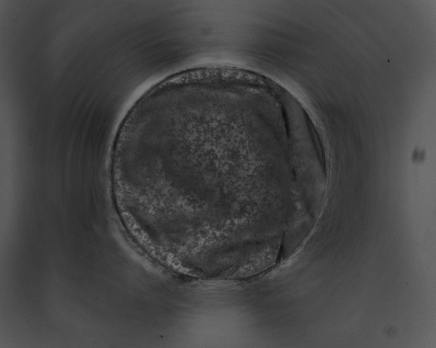 X0000091170864200708301154