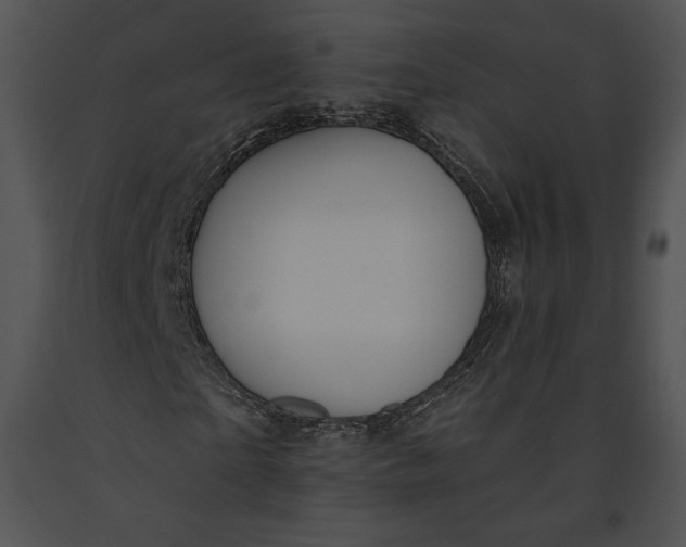 X0000091170865200708301153