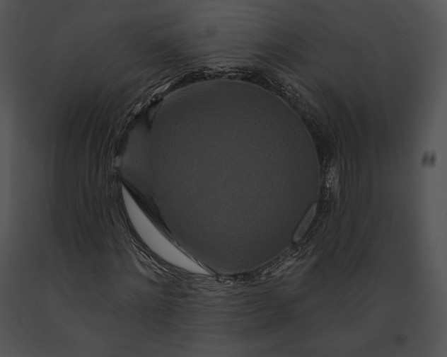 X0000091170868200708301153