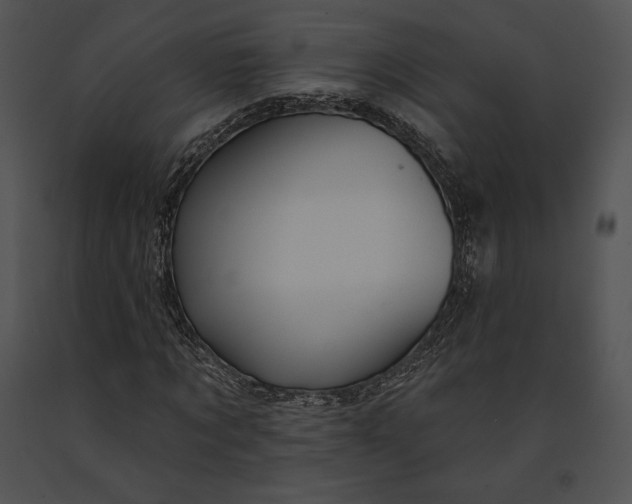 X0000091170869200708301153