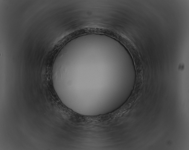 X0000091170870200708301153