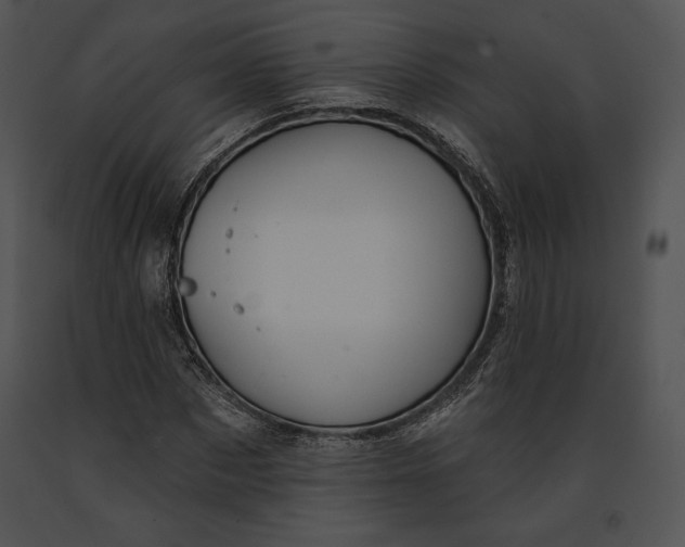 X0000091170873200708301153