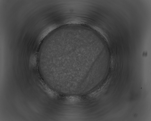 X0000091170874200708301153