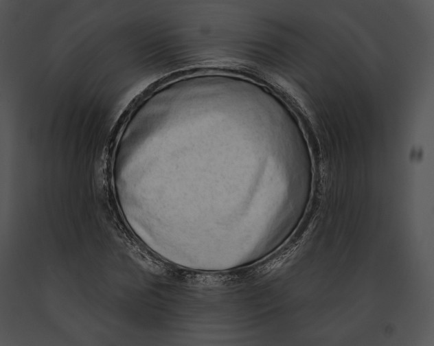 X0000091170875200708301153