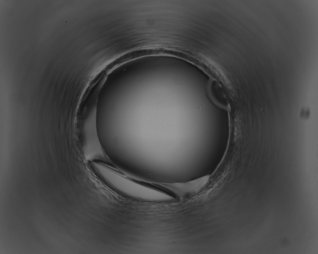 X0000091170876200708301153