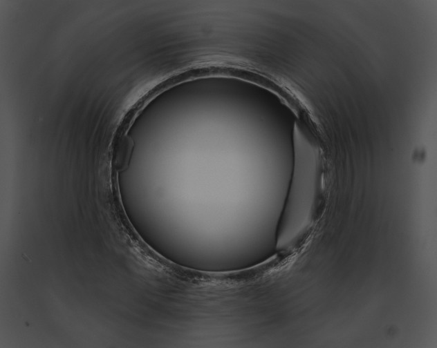 X0000091170877200708301153