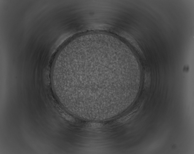 X0000091170878200708301153