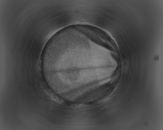 X0000091170879200708301153