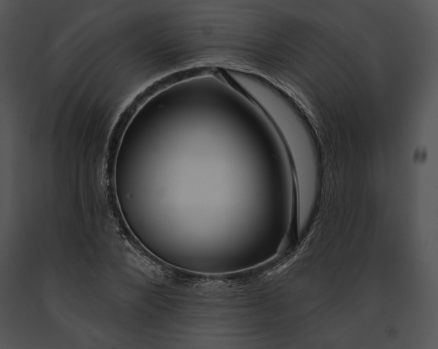 X0000091170880200708301153