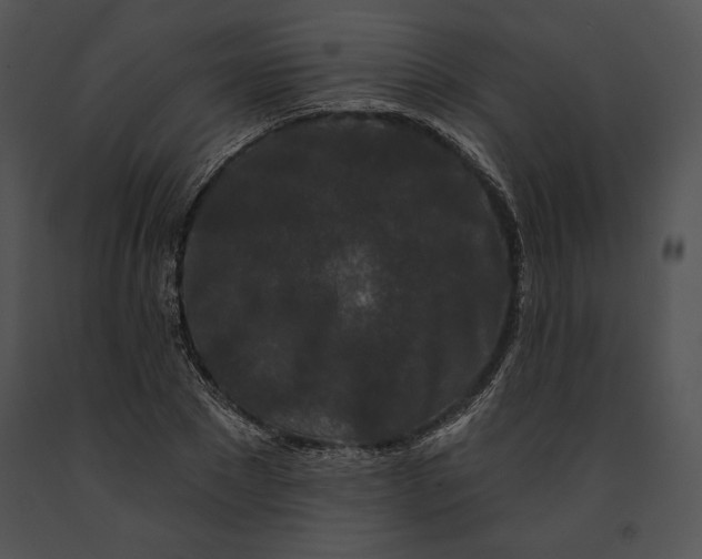 X0000091170881200708301153