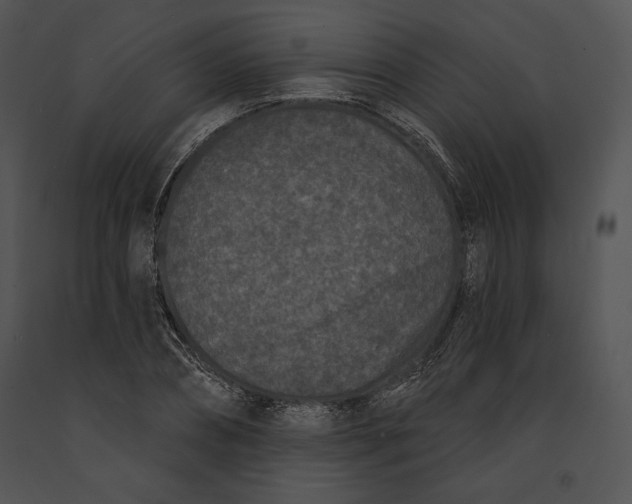 X0000091170882200708301153